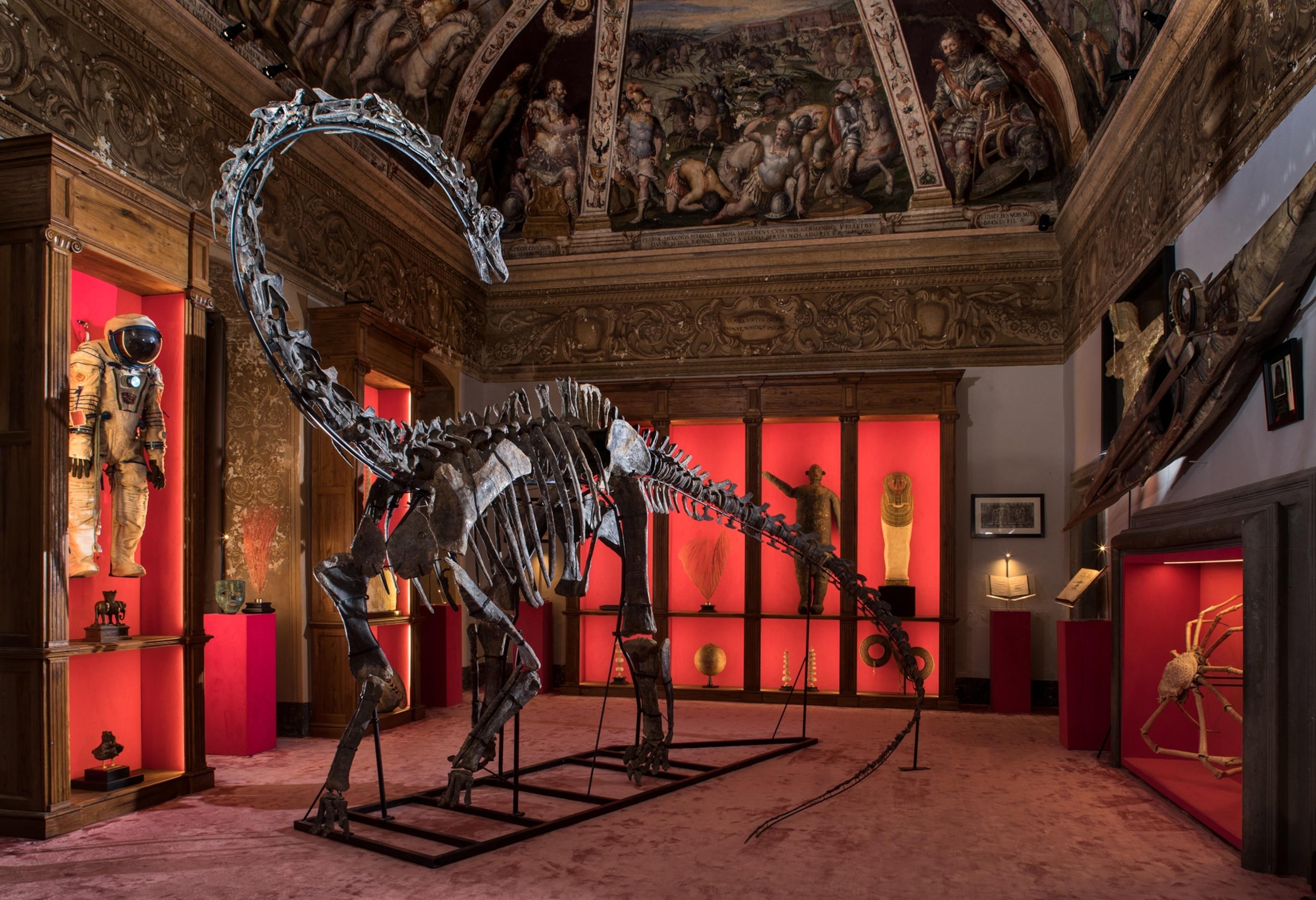 Dinosaur fossils are turning up in homes and offices of wealthy ...
