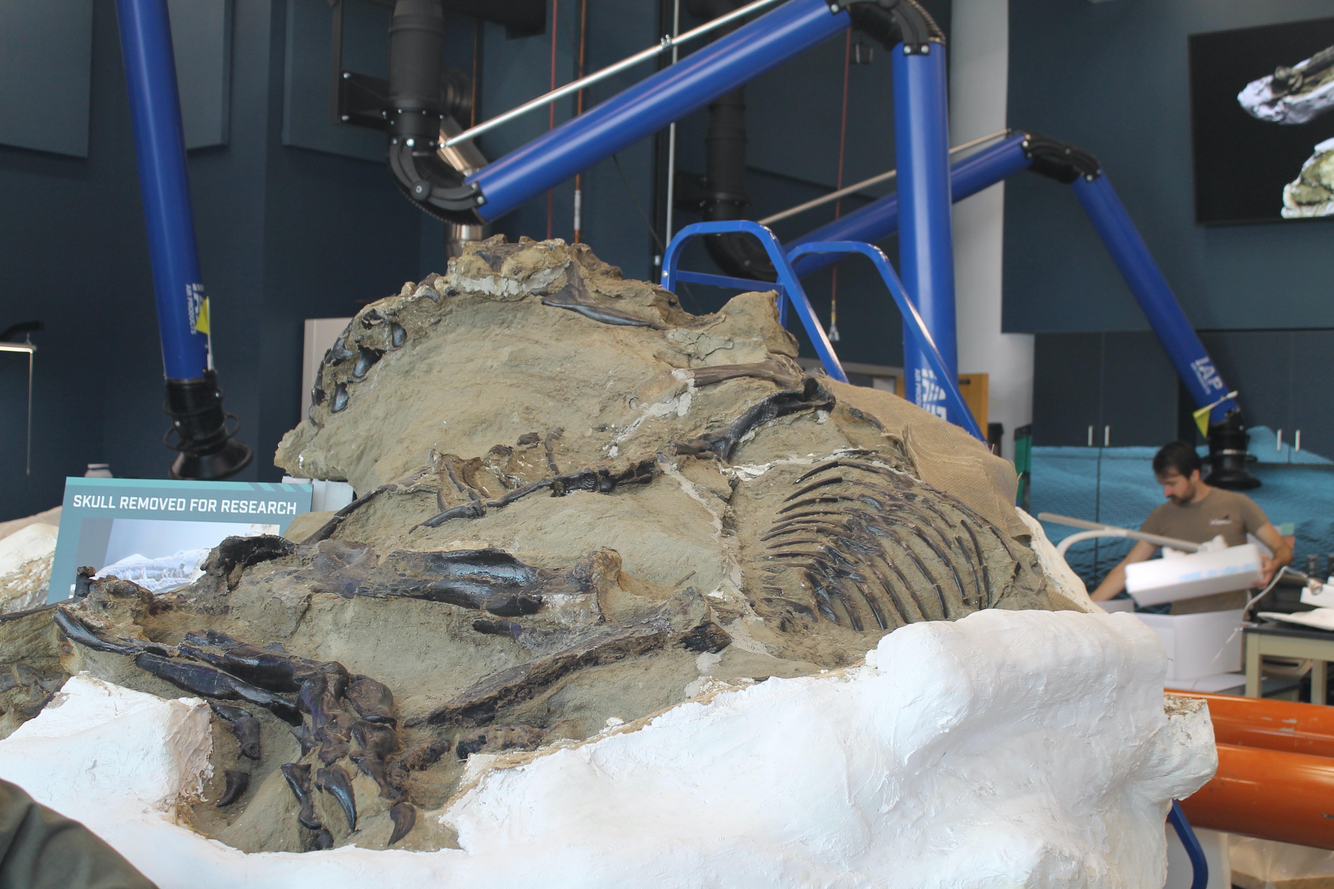 EXTINCT MONSTERS | Art, History, and Science of Museum Paleontology