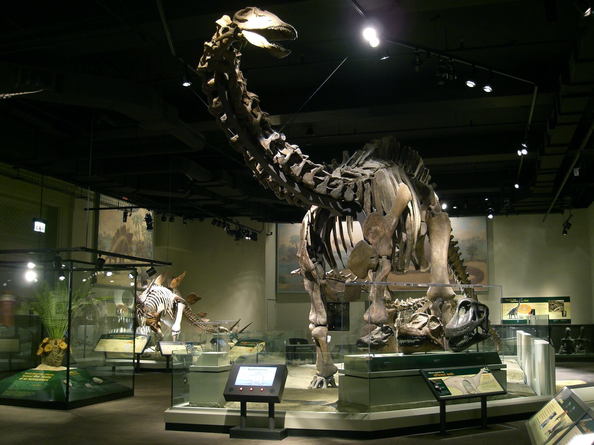 ornithopods | EXTINCT MONSTERS