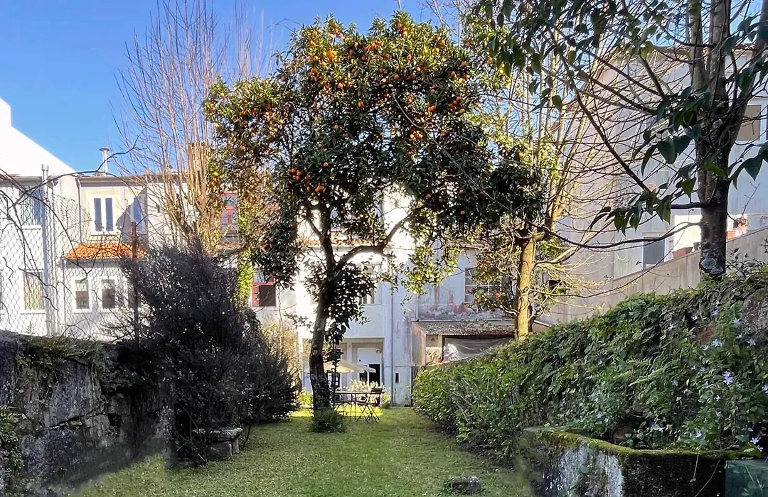 Hostel Alegria-1