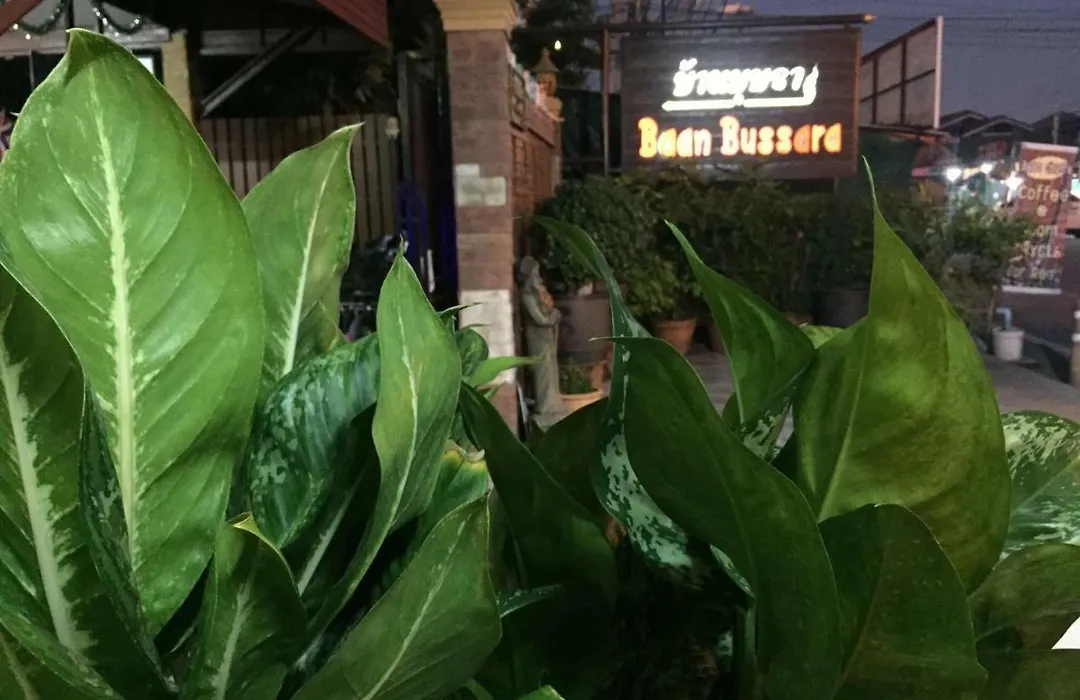 Baan Bussara-1